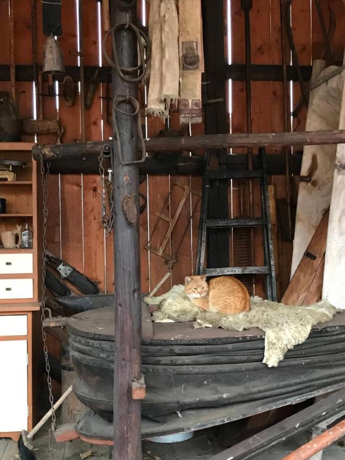 Chalupa Helena Na Poraci エクステリア 写真